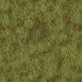 Grass generated seamless texture