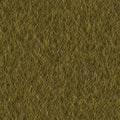 Grass generated seamless texture