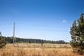 Grass glade clearing meadow clay and dry fields in the Suboticka pescara, near the Serbia city of Subotica, in Vojvodina during a