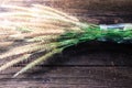 Grass and glass bottle on old wooden Royalty Free Stock Photo
