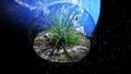 Grass in glass sphere in outer space. Ecology concept. 3d rendering. Royalty Free Stock Photo