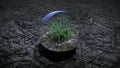 Grass in glass sphere in outer space. Ecology concept. 3d rendering. Royalty Free Stock Photo