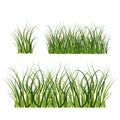 Grass, great design for any purposes. Seamless vector texture. White background. Stock image Royalty Free Stock Photo