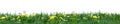 Grass green banner Royalty Free Stock Photo