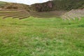 Grass green field in inca terraces