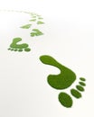 Grass green footprints