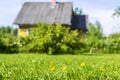 Grass on a green lawn near old wooden house on a sunny summer day in nature Royalty Free Stock Photo