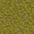 Grass with Moss. Seamless Texture. Royalty Free Stock Photo