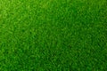 Grass green and nature of background textures Royalty Free Stock Photo