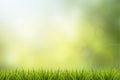 Grass and green nature blurred background Royalty Free Stock Photo