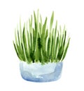 Grass green watercolor sketch