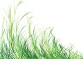 Grass is Greener Royalty Free Stock Photo