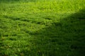 The grass is greener on the other side. Grass in light and shade. Lawn in light and shade in a yard. Lawn with shadow cutting it