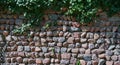 Grass grew between the stones of the stone wall Royalty Free Stock Photo