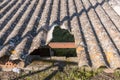 The grass in the ground seen through the broken hole in the roof of an abandoned house