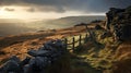 Atmospheric And Moody Landscapes: A Grassy Terrain With Stone Walls