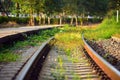 Grass grow alongside railroad while have no trains in evening li Royalty Free Stock Photo