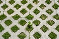 Grass growing through a checkerboard pattern of concrete Royalty Free Stock Photo