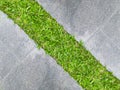 Grass growing on concrete floor Royalty Free Stock Photo