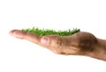 Grass Growing in Hand