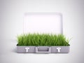 Grass growing out of a suitcase