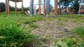 Grass growing through the playground floor