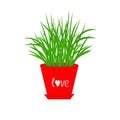 Grass Growing in red flower pot Icon Isolated Love White background Flat design Royalty Free Stock Photo