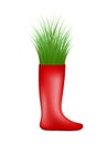 Grass growing from red rubber boot Royalty Free Stock Photo