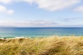 Grass on sand dunes by blue ocean and sky