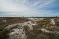 Grass growing in the sand during theday Royalty Free Stock Photo