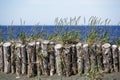 Wooden barricade by the ocean