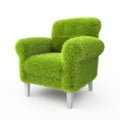 Grass grown on a chair Royalty Free Stock Photo
