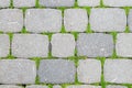 The grass grows through the stones of the paving stones Royalty Free Stock Photo