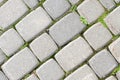 The grass grows through the stones of the paving stones Royalty Free Stock Photo