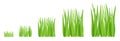 Grass growth stages. Lawn mowing. Ripening cut period. Vector infographic.