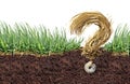 Grass Grub Questions Royalty Free Stock Photo