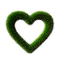 Grass heart