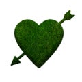 Grass heart with arrow isolated on white background Royalty Free Stock Photo