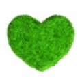 Grass heart isolated on white Royalty Free Stock Photo