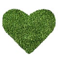 Grass Heart Shape Royalty Free Stock Photo