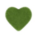 Grass heart symbol Royalty Free Stock Photo