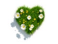 Grass heart on white background