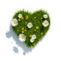 grass heart on white background Royalty Free Stock Photo