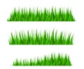 Grass herb fodder nature green decor vector set isolated vector illustration