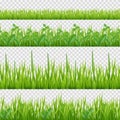 Grass herbs pattern. Nature symbols leaves and herbs horizontal vector seamless background