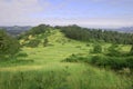 Grass hill with trees ontop of Mount Pisgah Royalty Free Stock Photo