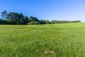 Grass Hillside Trees Blue Sky Summer Green Landscape