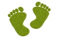 Grass human footprints, 3D rendering Royalty Free Stock Photo