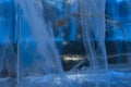 Grass inside ice blocks wall Royalty Free Stock Photo