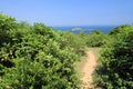 Vegetation, nature, reserve, sky, shrubland, tree, mount, scenery, trail, biome, plant, community, jungle, promontory, hill, stati